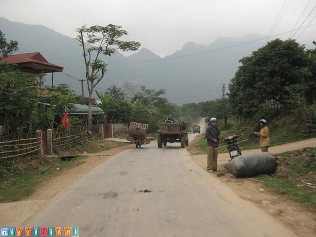 viet47