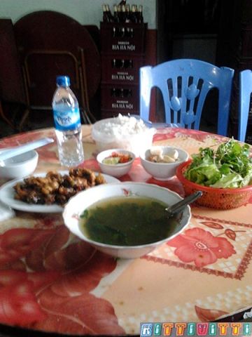 viet54