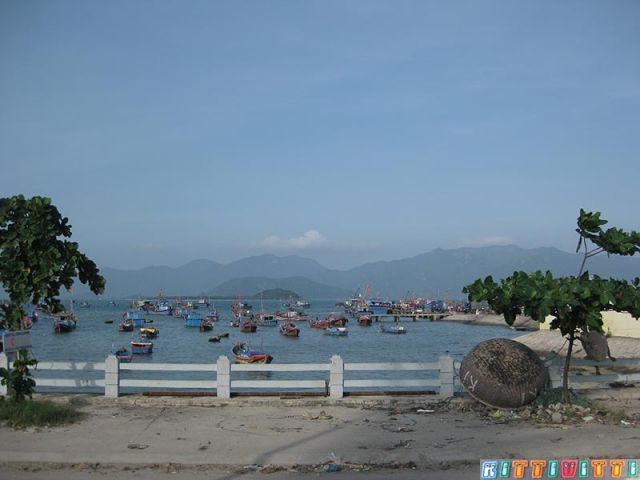 viet9954