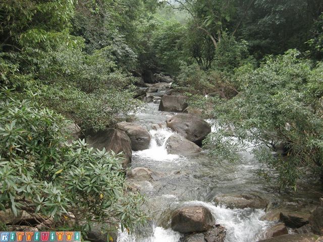 viet9916