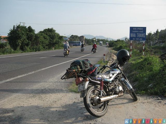viet9952