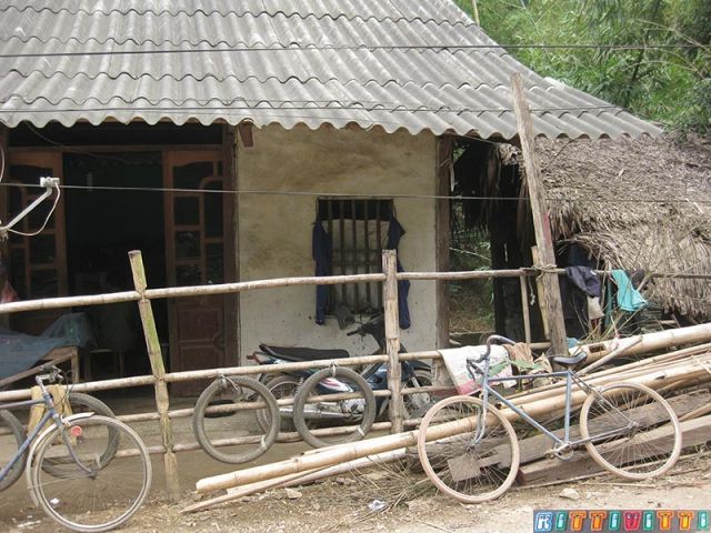 viet36