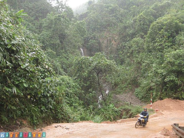 viet99