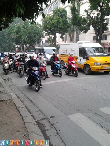 viet19