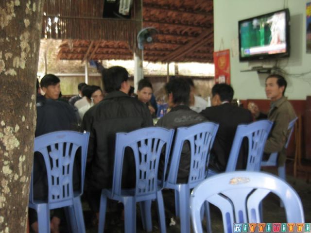 viet55