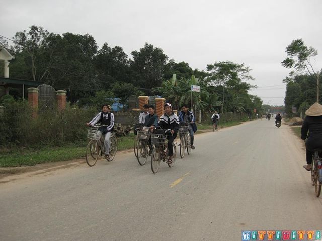 viet71