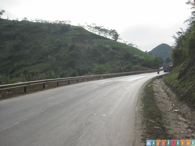 viet23