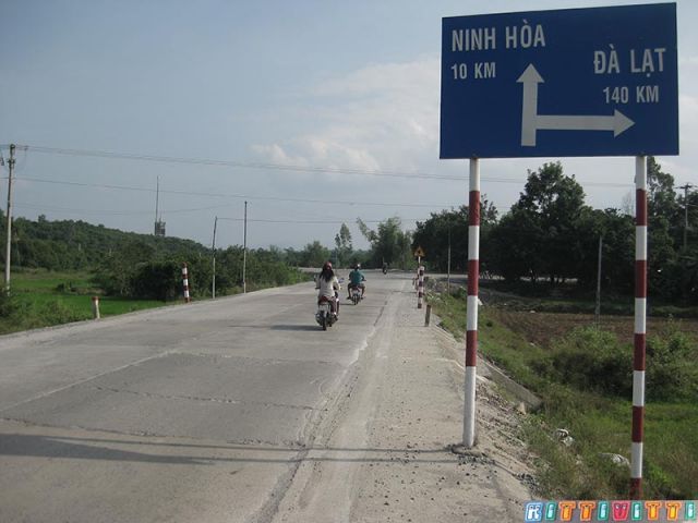 viet9949