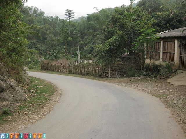viet43