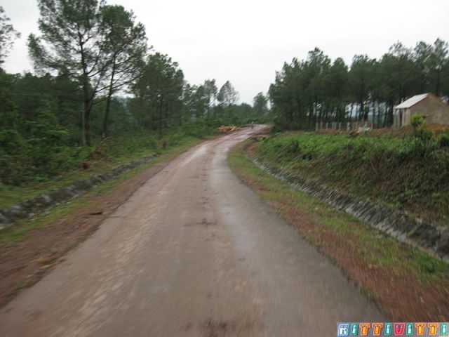 viet80