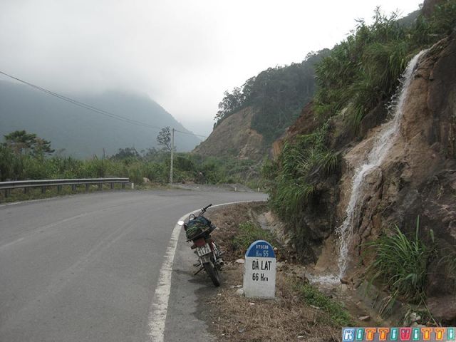 viet9999