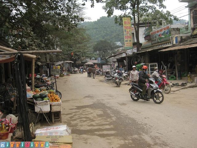 viet29