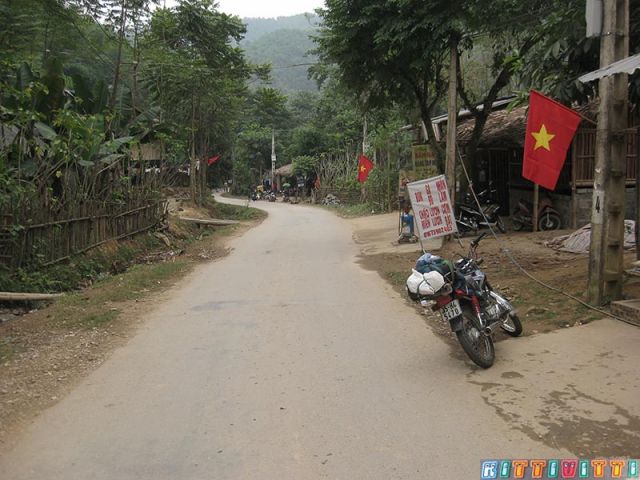 viet44