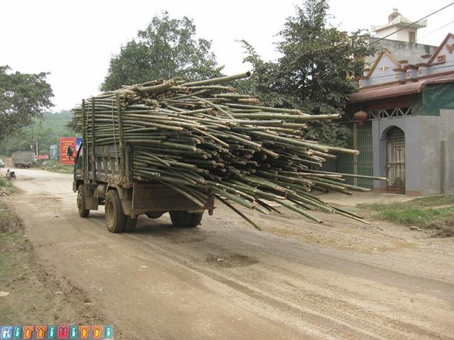 viet57