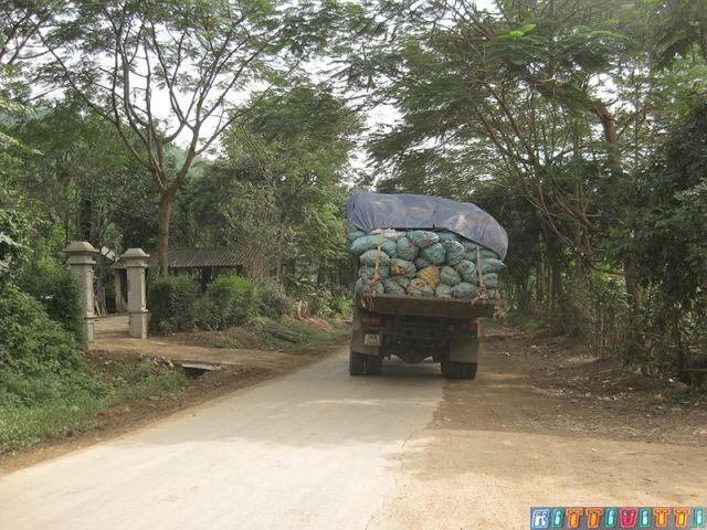 viet53