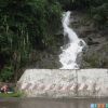 viet95