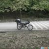 viet03