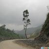 viet9902 viet9902