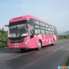 viet9951 viet9951