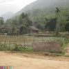 viet50