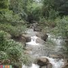 viet9916 viet9916