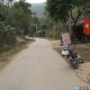 viet44