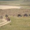 mongolia_1_27.jpg