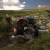 mongolia_1_24.jpg
