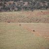 avstralia den1 15 avstralia den1 15