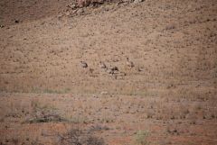 avstralia den2 15 avstralia den2 15