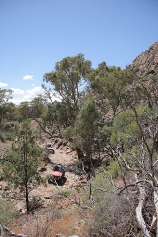 avstralia den4 11