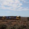 avstralia den5 12