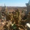 avstralia_den5_28.jpg