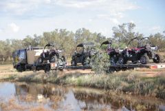 avstralia den7 1 avstralia den7 1