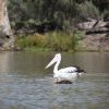 avstralia_den7_28.jpg
