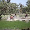avstralia den7 16