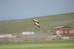 mongolia_4_33.jpg mongolia_4_33.jpg
