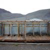 mongolia_4_30.jpg