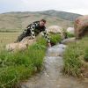 mongolia 6 3