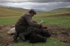 mongolia_8_21.jpg mongolia_8_21.jpg
