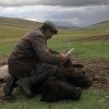 mongolia_8_21.jpg