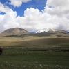 mongolia_9_21.jpg