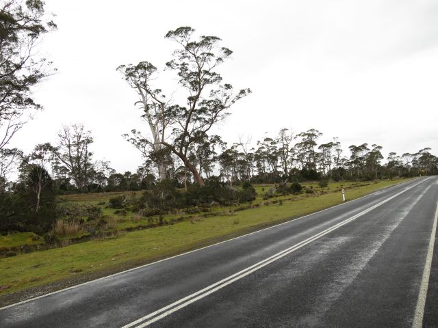 IMG 0825
