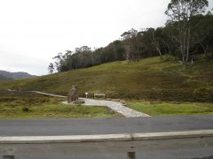 IMG 0842 IMG 0842