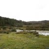 IMG 0843
