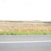 IMG 0767