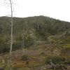 IMG 0840