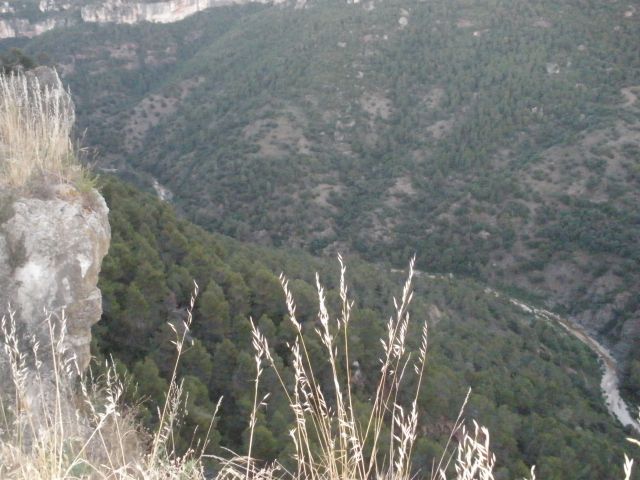 P7150320.JPG