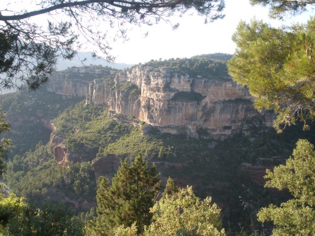 P7150293.JPG