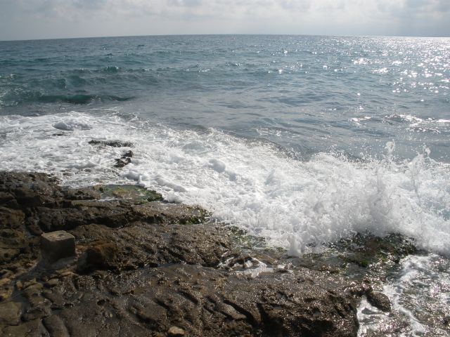P7040069.JPG